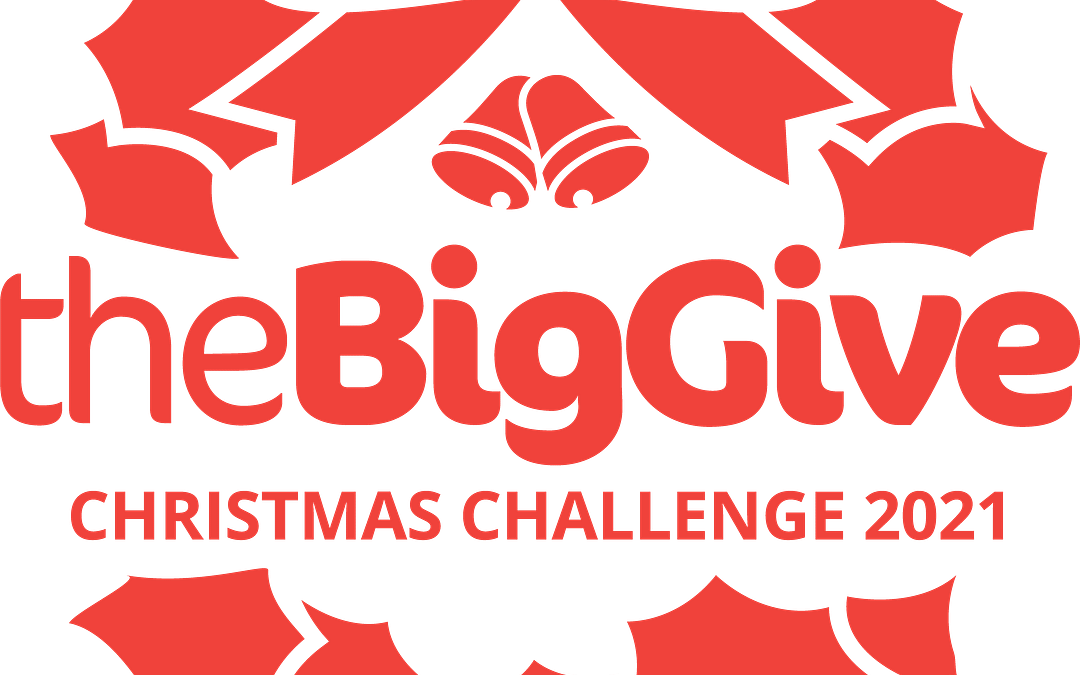 Big Give Christmas Challenge 2021